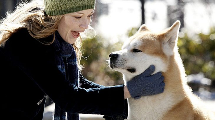 THE映画紹介『HACHI 約束の犬』ストーリーは置いといて、犬を撮ることが天才的な監督であることは間違いない!!