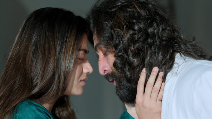 メディア寄稿:ニュースコラム『ANIMAL』(NiEW)